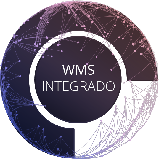 wms-integrado