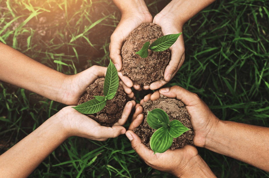 Como tornar a sua gráfica em uma aliada da sustentabilidade